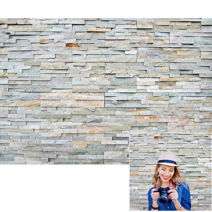 Toile de fond de mur de pierre calcaire roche mur fond imprimable photographie KH03721