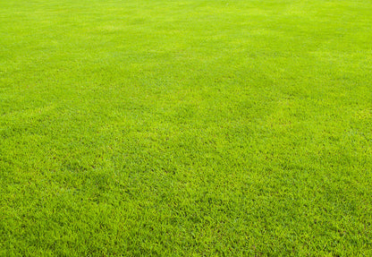 Toile de fond décors de photographie de motif vert abstrait