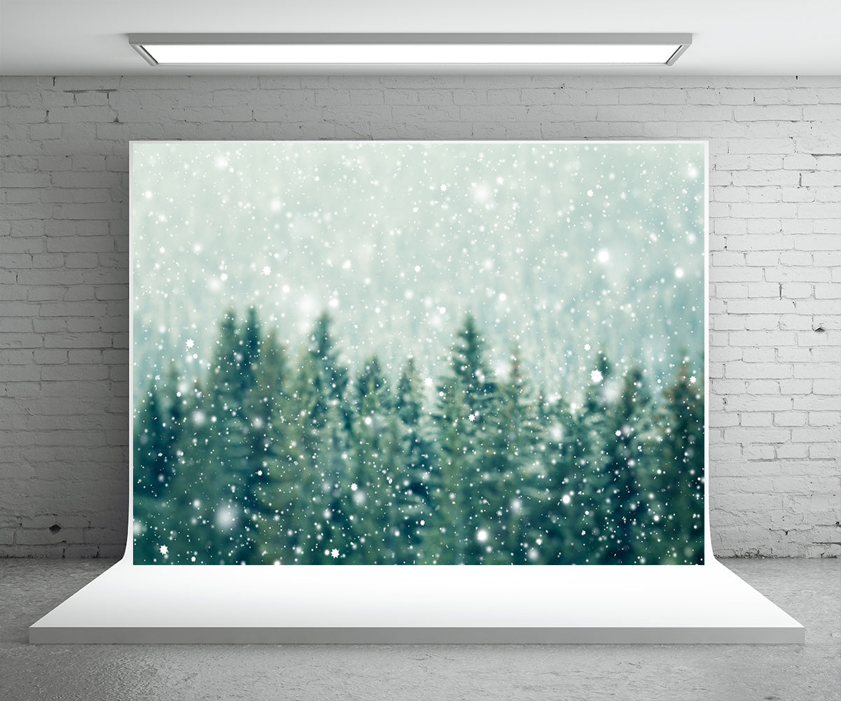 Toile de fond décors de photographie de forêt verte de pin