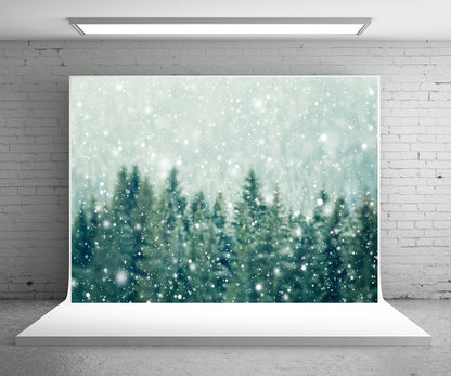 Toile de fond décors de photographie de forêt verte de pin