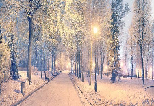 Toile de fond de nuit lumière neige route photographie fond d'hiver