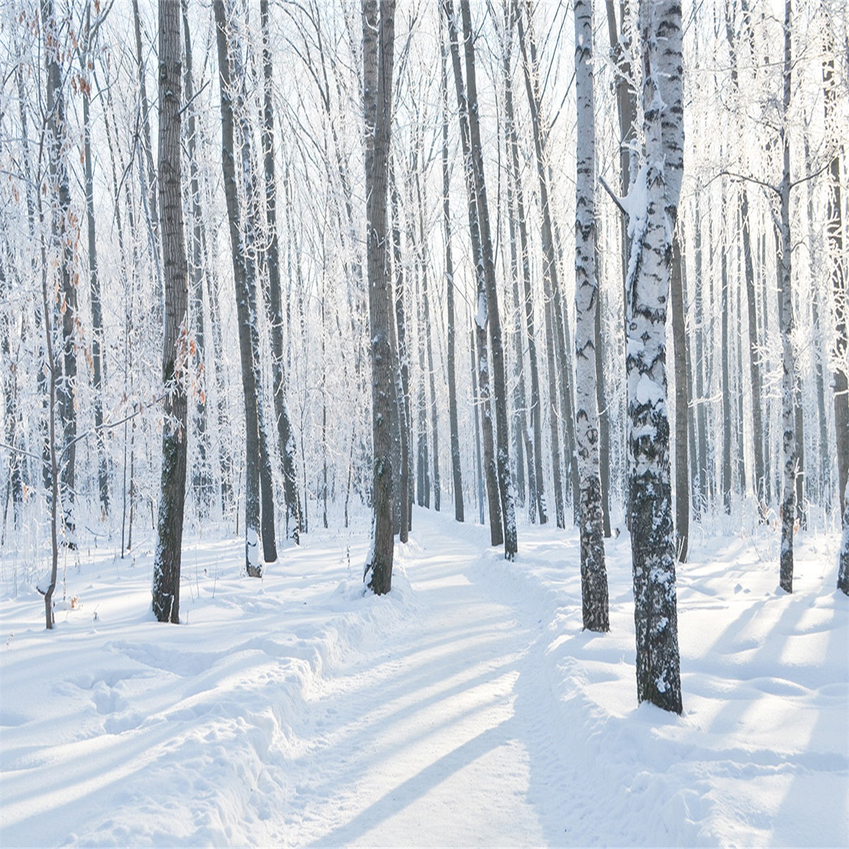 Toile de fond de Noël de neige blanche pour la photographie fond d'hiver