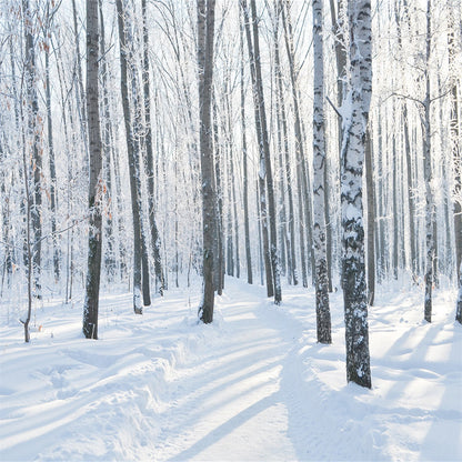 Toile de fond de Noël de neige blanche pour la photographie fond d'hiver