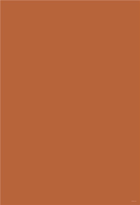 Toile de fond de photographie de couleur unie orange foncé pour les photos