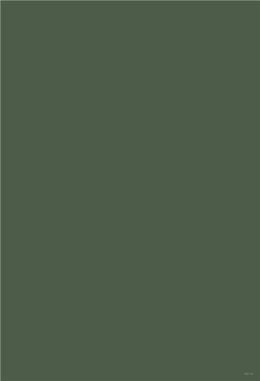 Toile de fond de photographie de couleur unie vert foncé