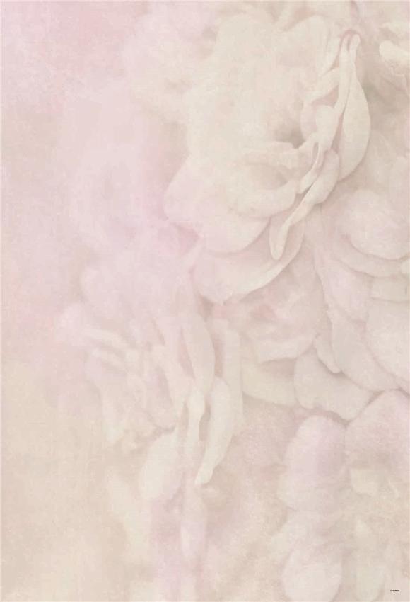 Toile de fond décors de mariage de fleurs roses pour la photo
