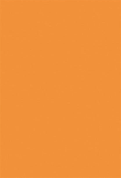 Toile de fond solide orange pour la photographie