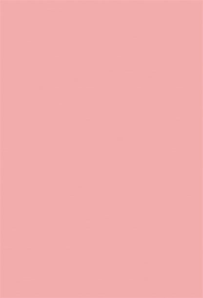 Toile de fond solide rose pêche pour la photographie pour la photo
