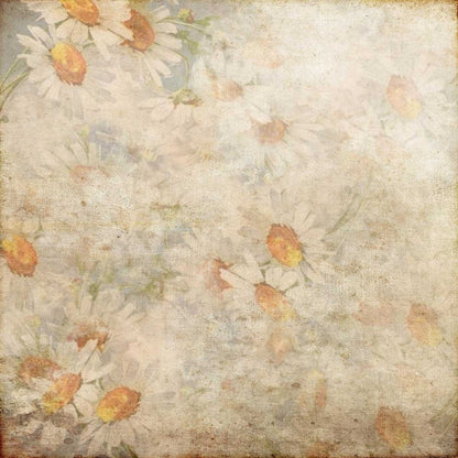 Toile de fond décors de photographie de fleurs de marguerite blanche