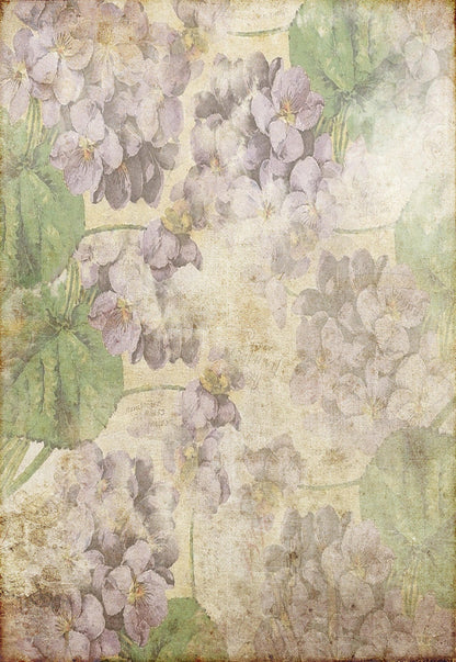 Toile de fond de pétale violet fleur vintage feuilles vertes fond de studio photo