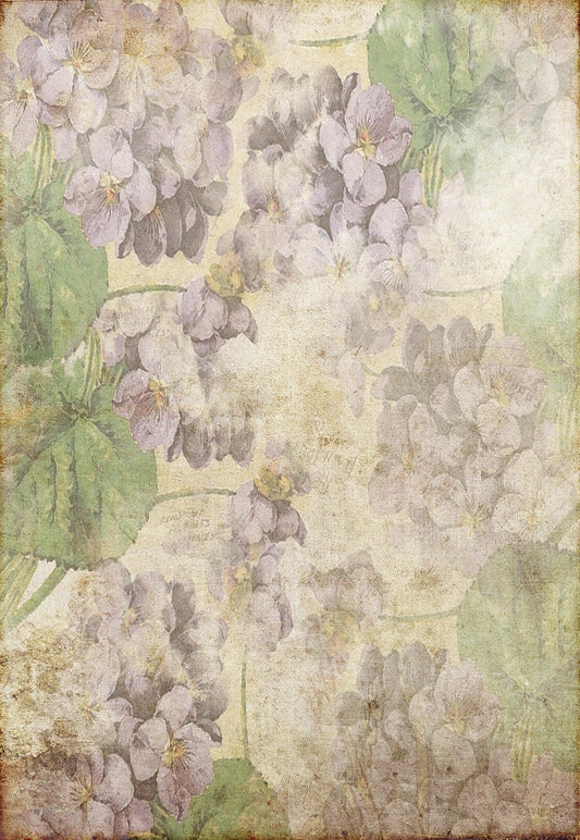 Toile de fond de pétale violet fleur vintage feuilles vertes fond de studio photo