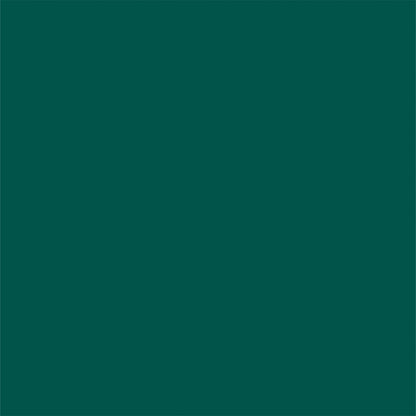 Toile de fond décors de studio photo solide vert foncé