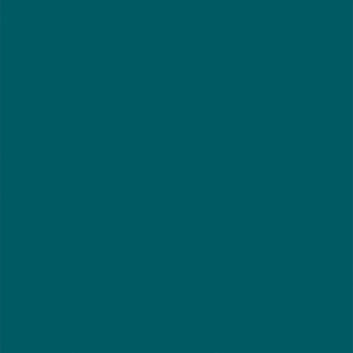 Toile de fond de studio photo couleur unie aqua pour portrait