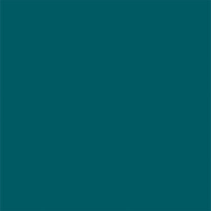 Toile de fond de studio photo couleur unie aqua pour portrait