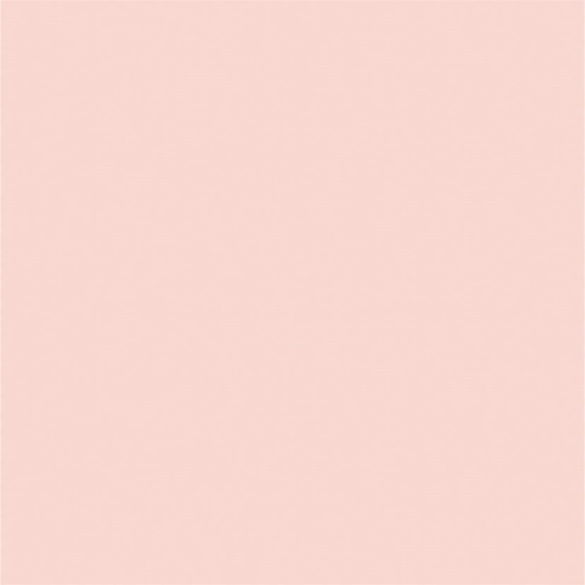 Toile de fond de photo solide rose pour la fête