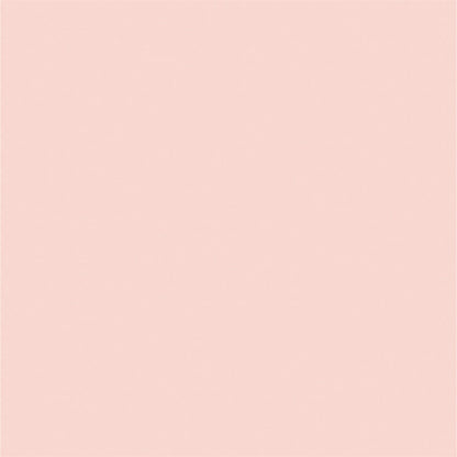 Toile de fond de photo solide rose pour la fête