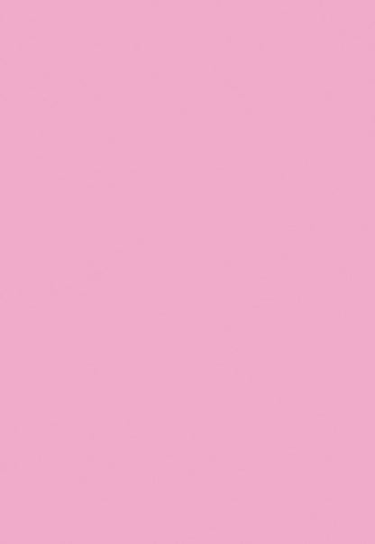 Pink Solid Portrait Photo Backdrops Seamless for Photography