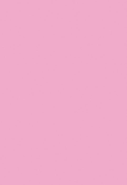 Pink Solid Portrait Photo Backdrops Seamless for Photography