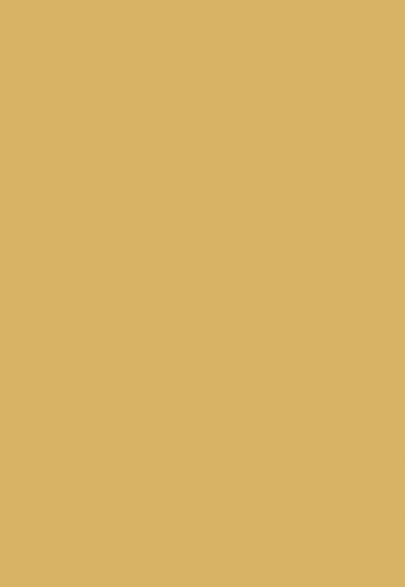 Yellow Solid Color Backdrops for Photography Portrait Background