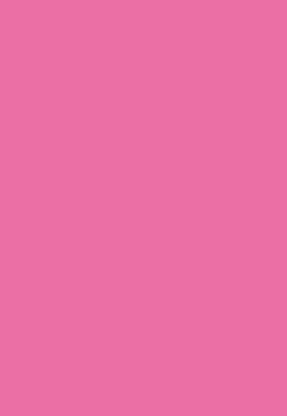 Rose Pink Portrait Solid Photography Backdrops