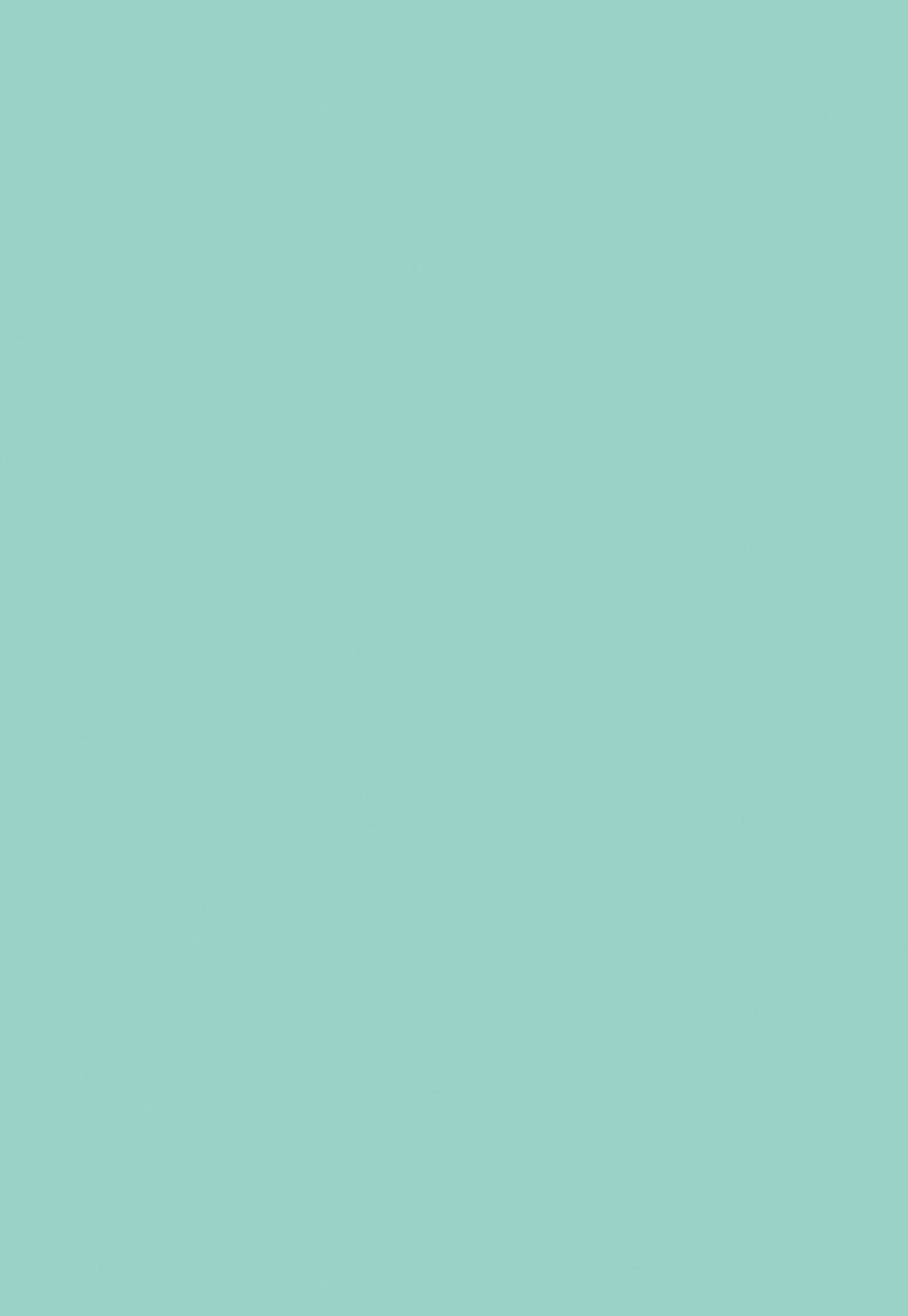 Mint Solid Color Portrait Photography Backdrops for PHOTO