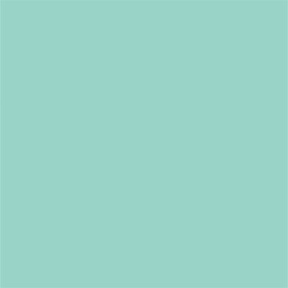 Mint Solid Color Portrait Photography Backdrops for PHOTO