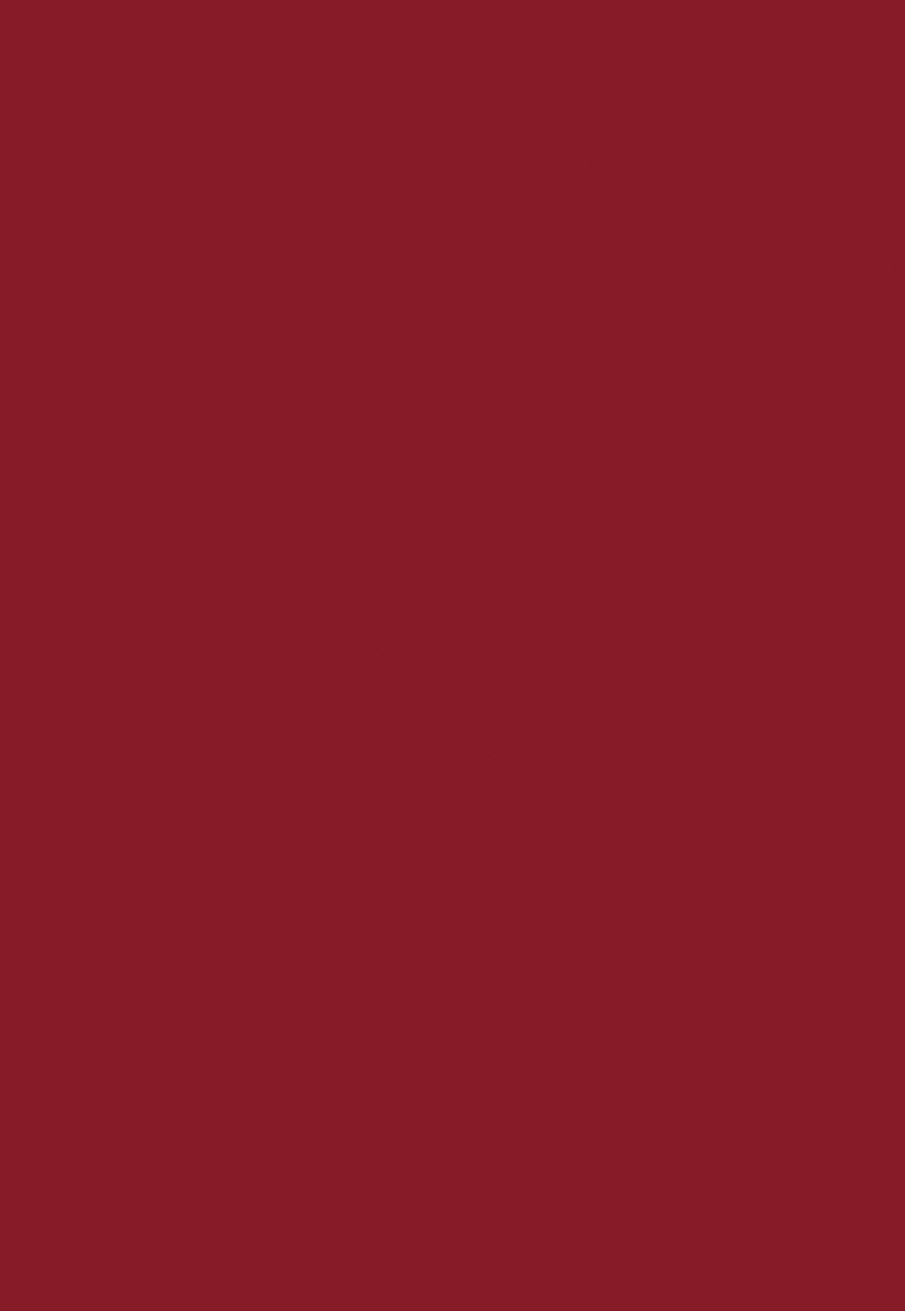 Burgundy Solid Portrait Photo Studio Backdrops for Picture
