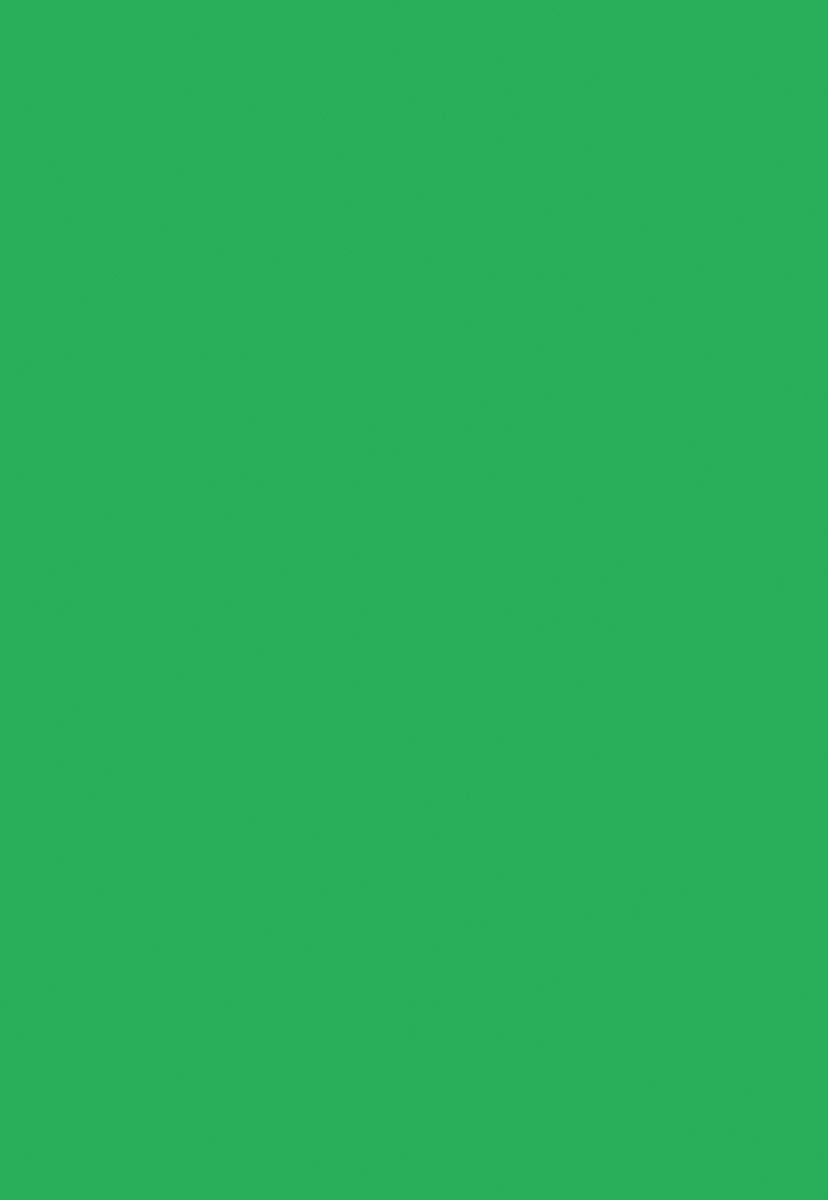 Bright Green Solid Photography Backdrops for Portrait