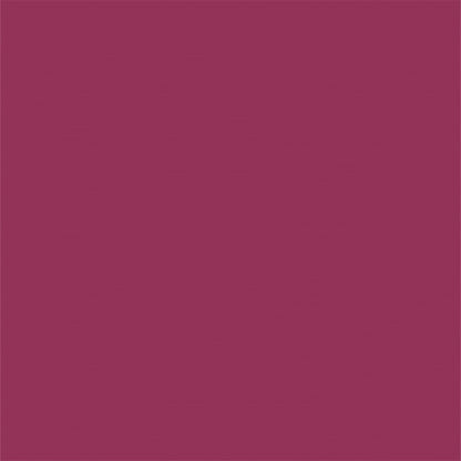 Fuchsia Portrait Photography Backdrops for Solid Background