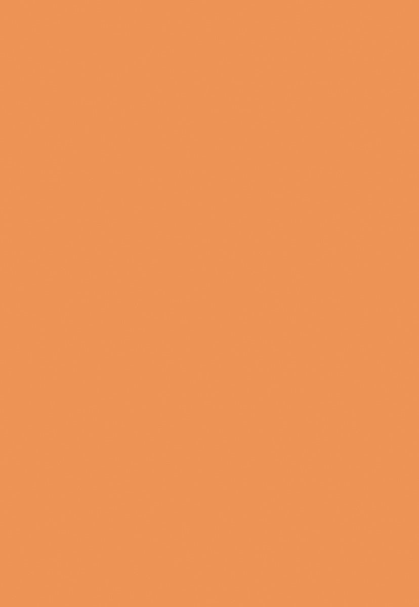 Orange Fabric Solid Backdrops for Photography Prop