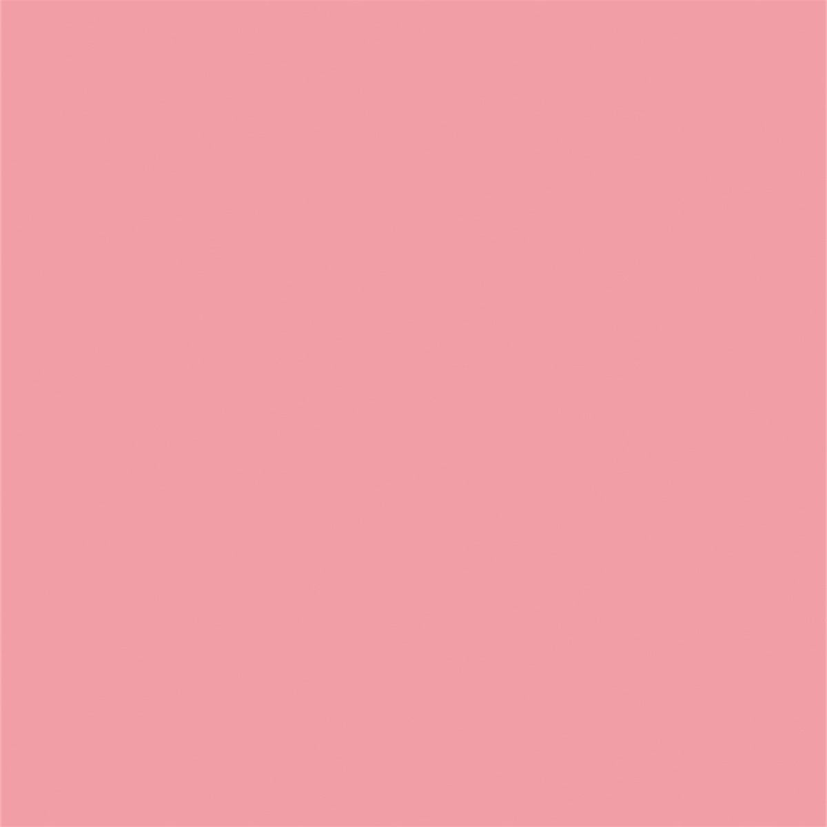 Watermelon Red Photography Backdrops for Studio