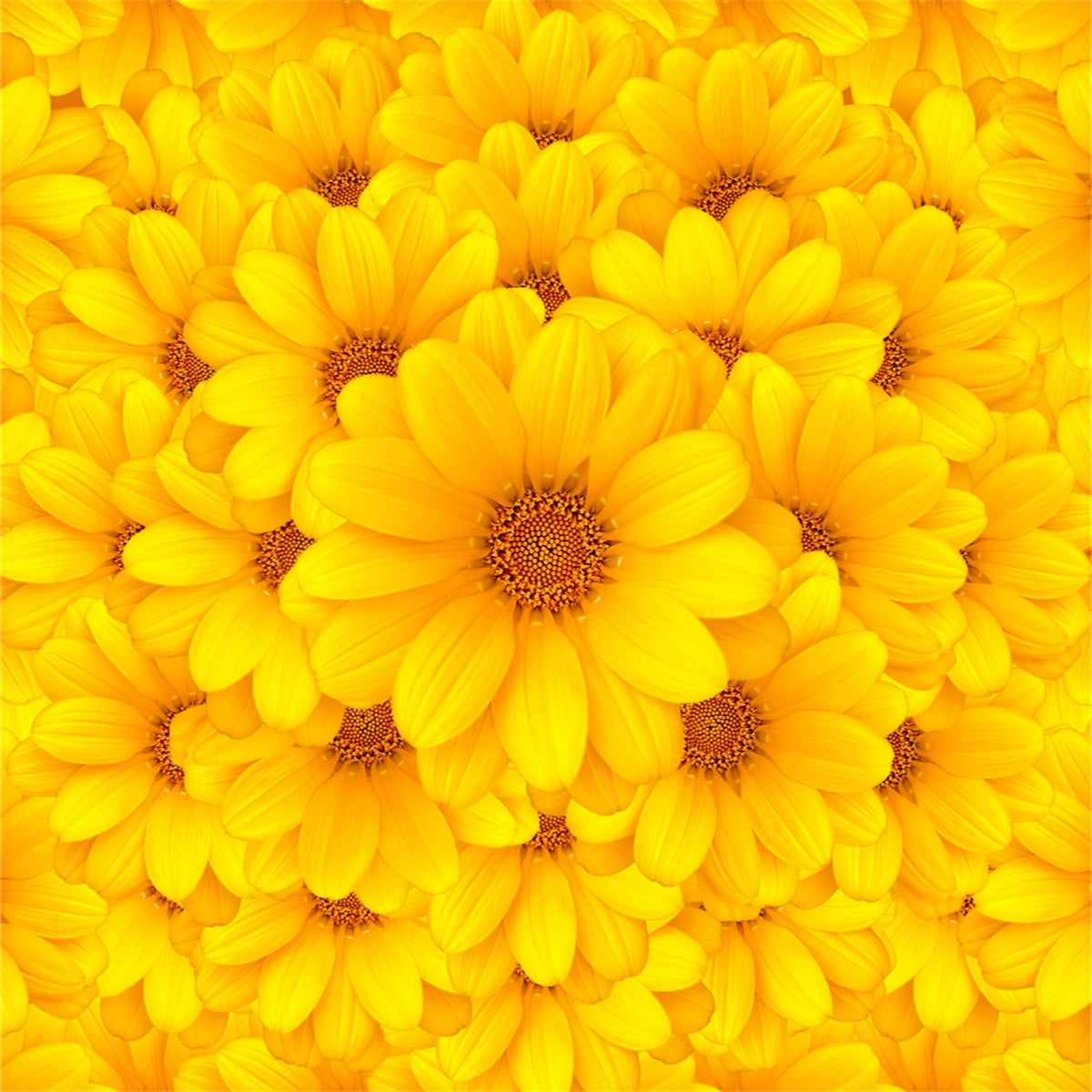 Yellow Flowers Baby Show Backdrop for Photography Wedding Background