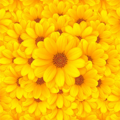 Yellow Flowers Baby Show Backdrop for Photography Wedding Background