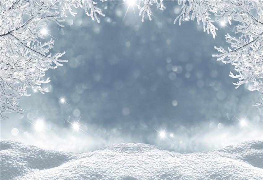 Toile de fond de vacances de neige d'hiver de Noël pour la photographie