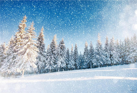 Toile de fond décors de photographie d'hiver de forêt de neige