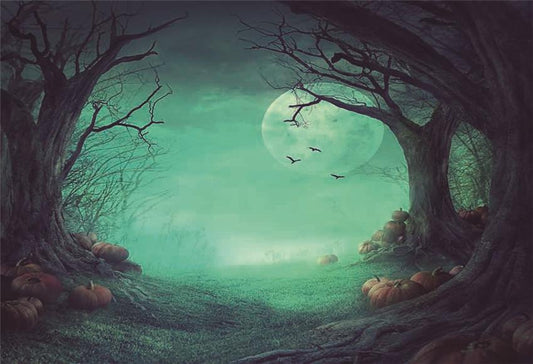 Toile de fond décors de photographie d'Halloween de nuit pour la nature
