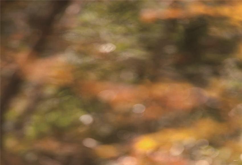 Toile de fond de photographie de photo de bébé abstrait