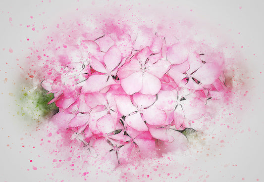 Toile de fond décors de photographie florale pétale rose pour le studio
