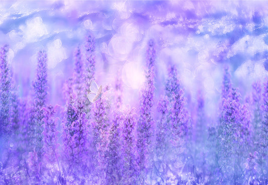 Toile de fond décors de photomaton papillon floral lavande