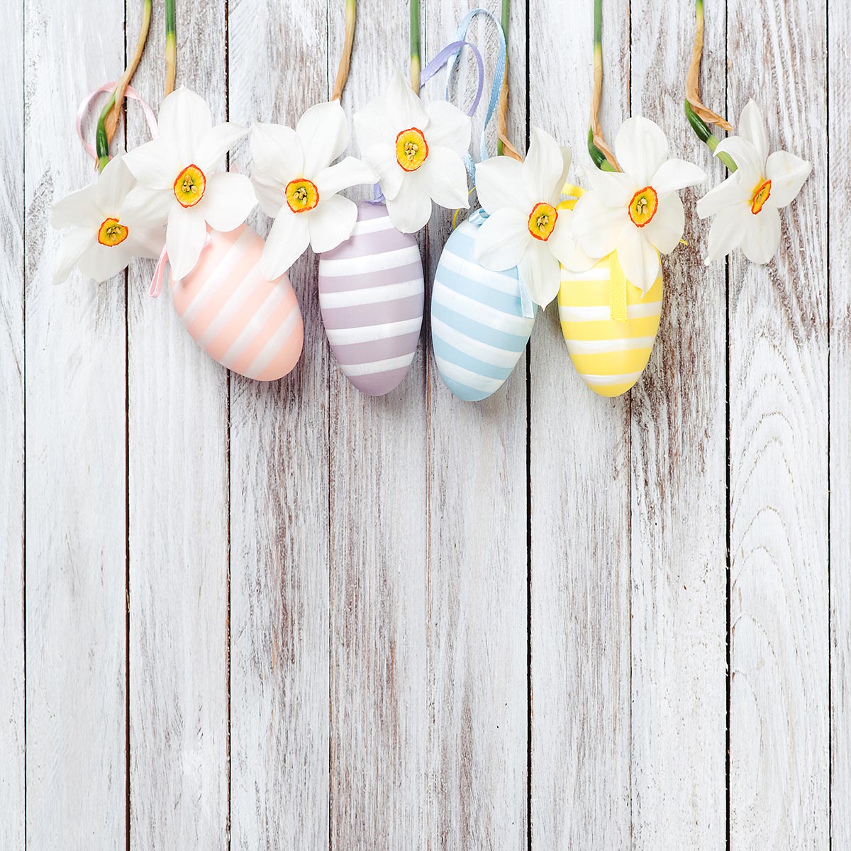 Toile de fond de photo de Pâques de fleurs d'oeufs en bois blanc pour le studio