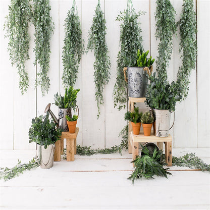 Toile de fond décors de photographie en bois blanc de jardin de printemps pour la photographie