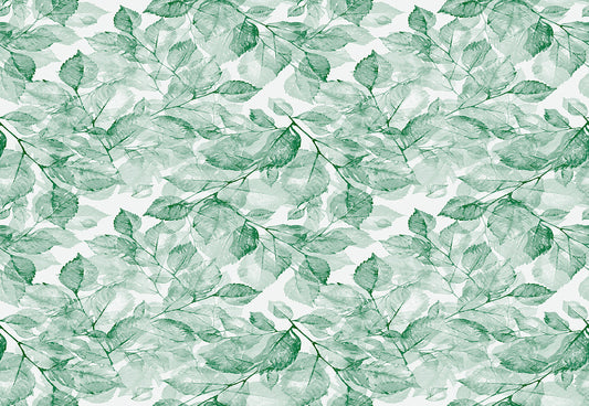 Toile de fond de feuilles de printemps décors tropicaux pour la photographie