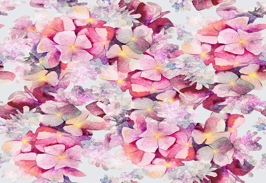Toile de fond de photo de bébé de fleurs roses pour la photographie