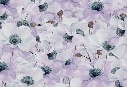 Toile de fond de studio de photo de bébé de fleur de lotus