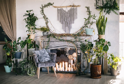 Toile de fond de bohême Noël cheminée plante photographie