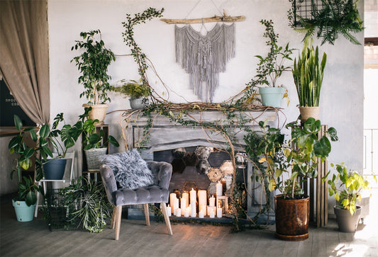 Toile de fond de bohême Noël cheminée plante photographie