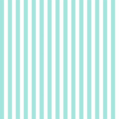 White and Mint Stripe Photo Background Backdrop