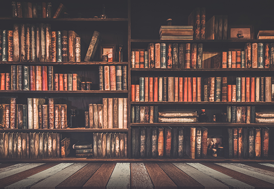 Toile de fond d'étagère à livres bibliothèque école bibliothèque plancher en bois SBH0109