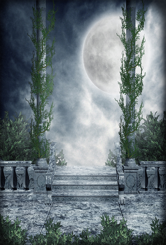 Toile de fond de paysage de nuit avec balcon pour la photographie SBH0258