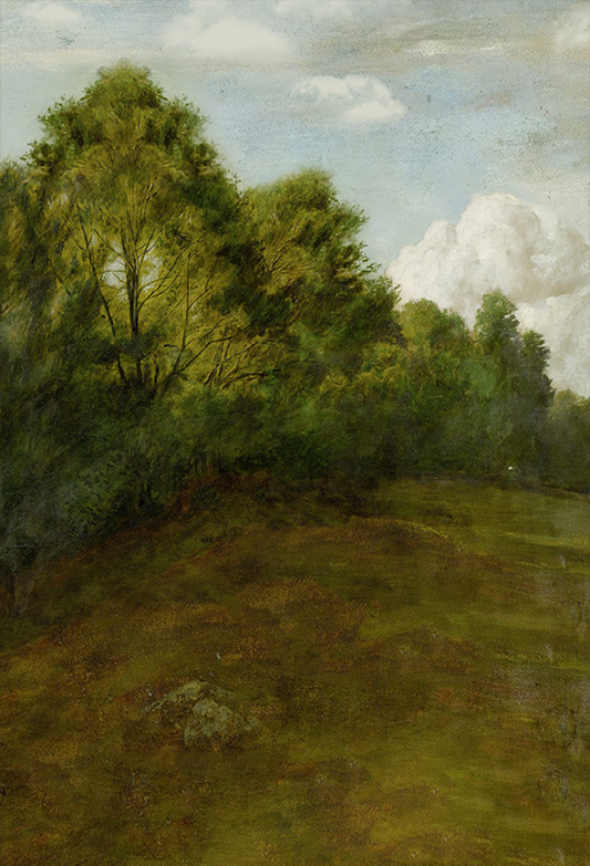 Toile de fond de paysage rural peinture à l'huile photographie SBH0331